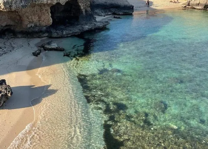 Cosmo * 모노폴리